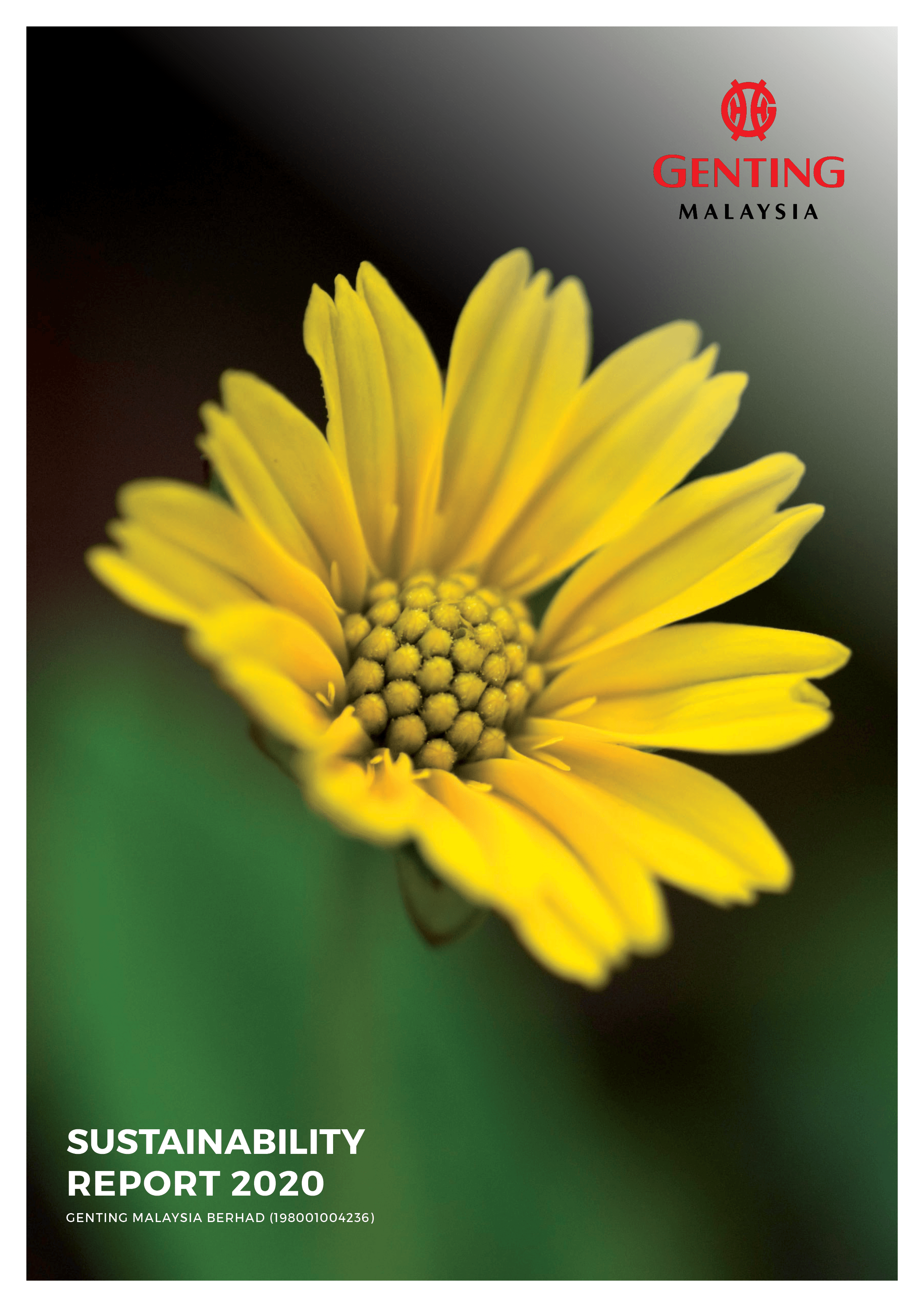 Sustainability Report 2020